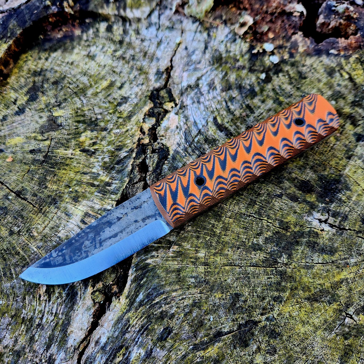 Gracilis orange and black