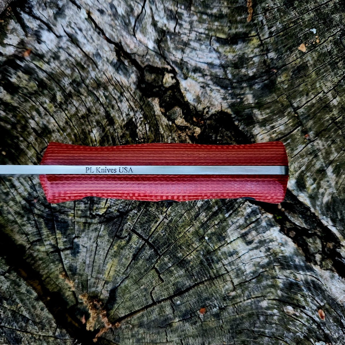 WBT Firedog - Image 4