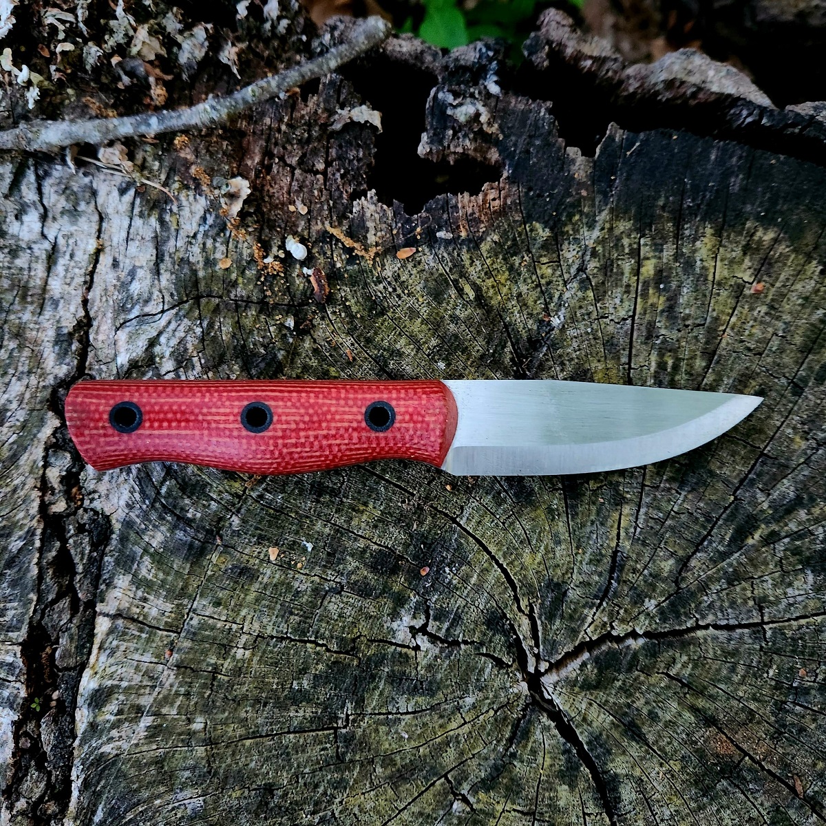 WBT Firedog - Image 3