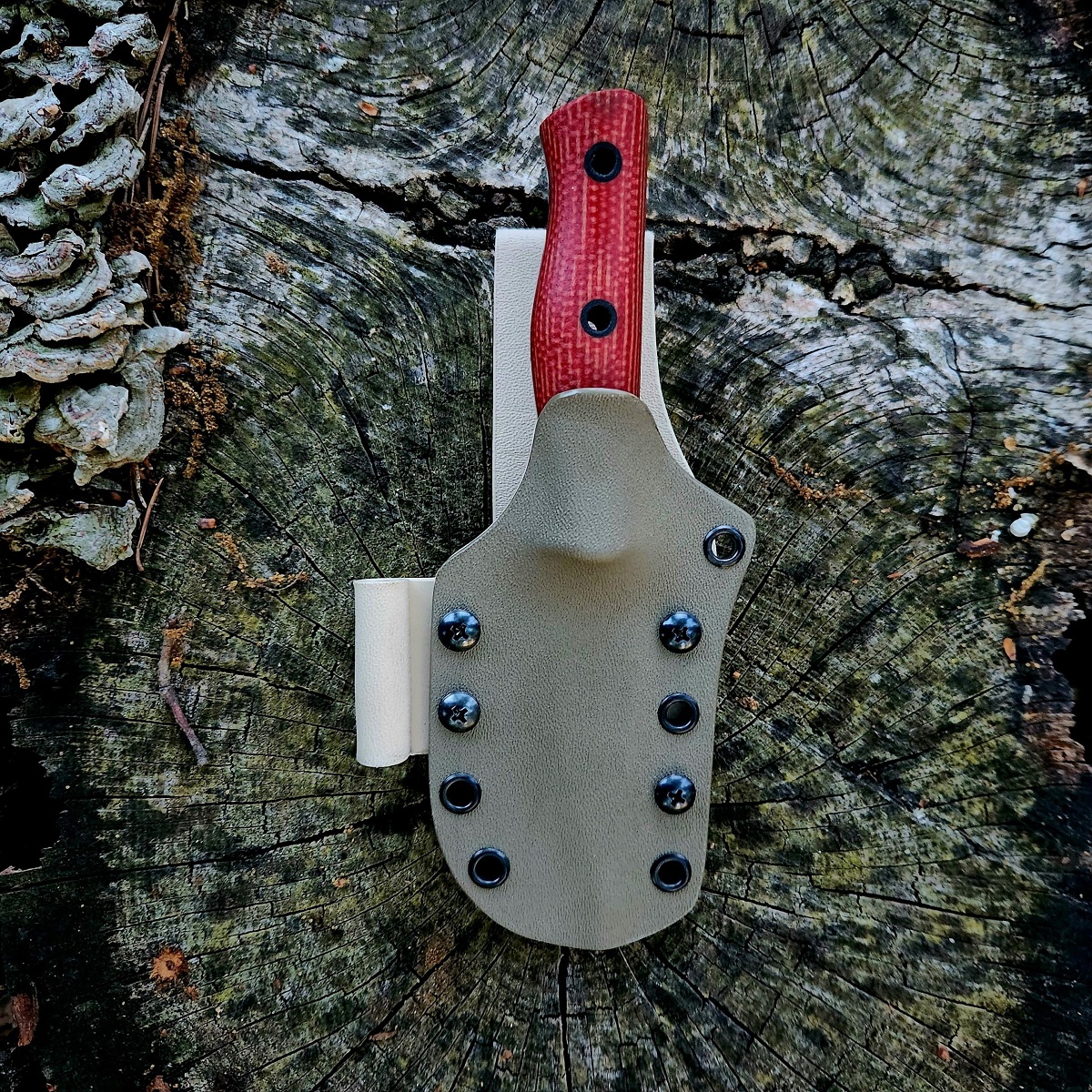 WBT Firedog - Image 2