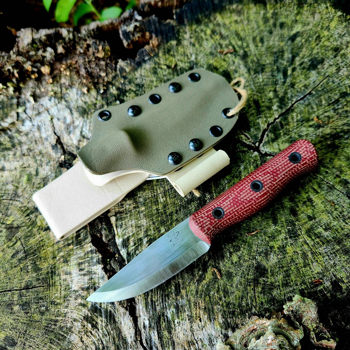 WBT Firedog