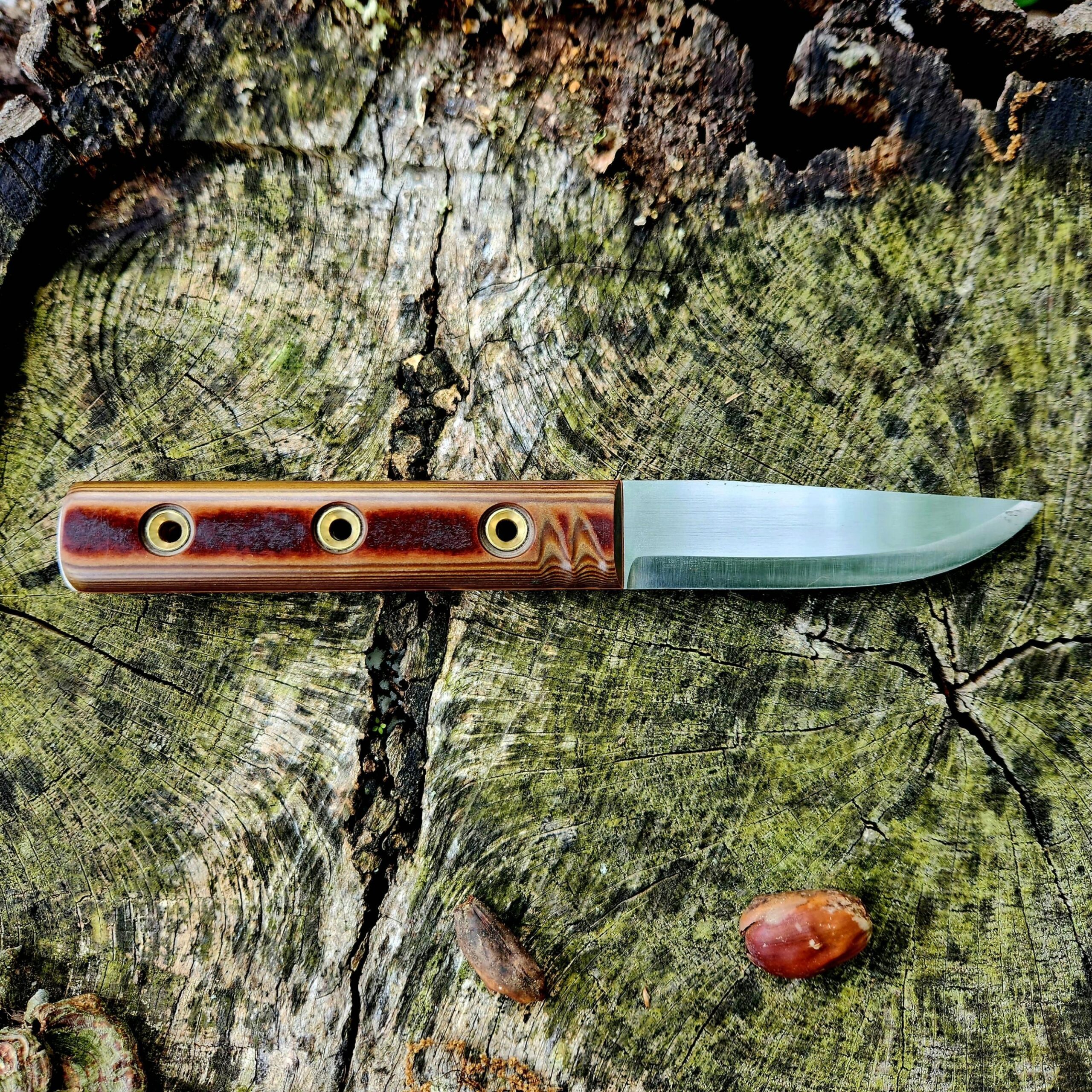 Smilodon - Skatelite with kydex - Image 2