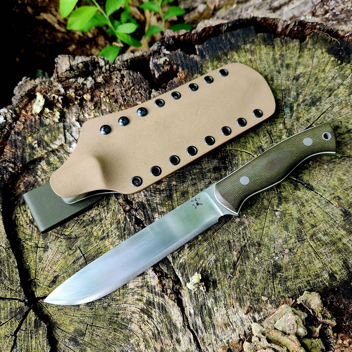 Jaguar 7 AEB-L OD