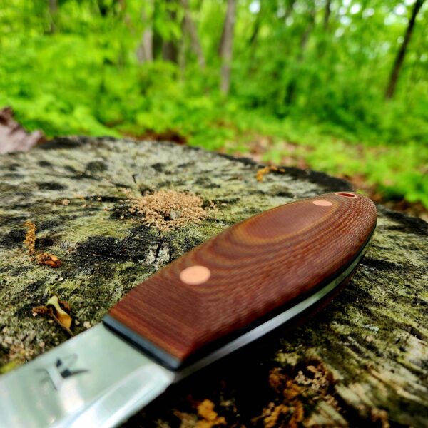 Single Barrel 34 AEB-L - Image 2
