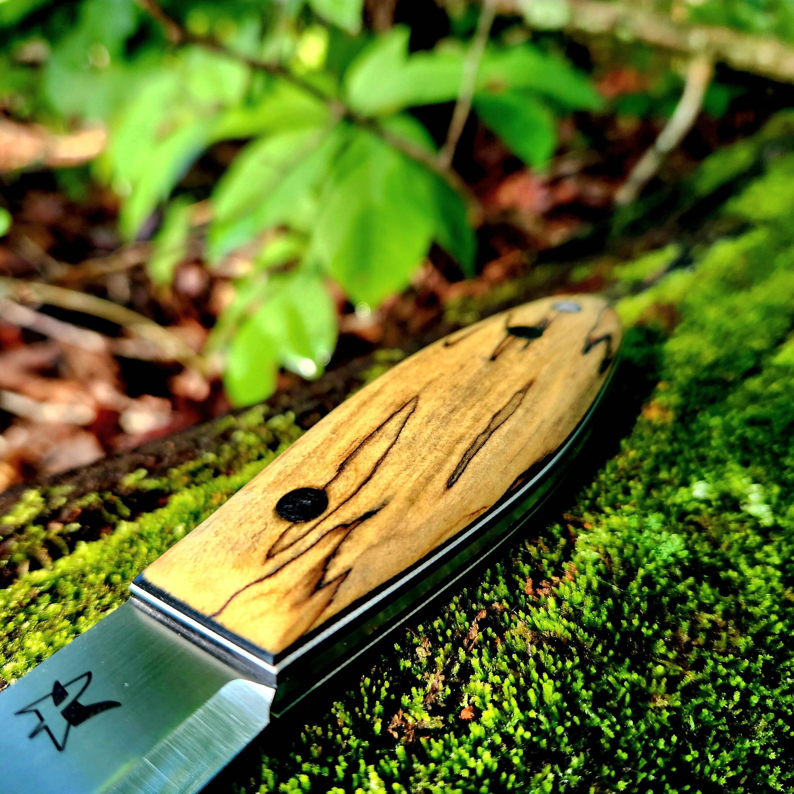 Single Barrel 37 AEB-L - Image 3