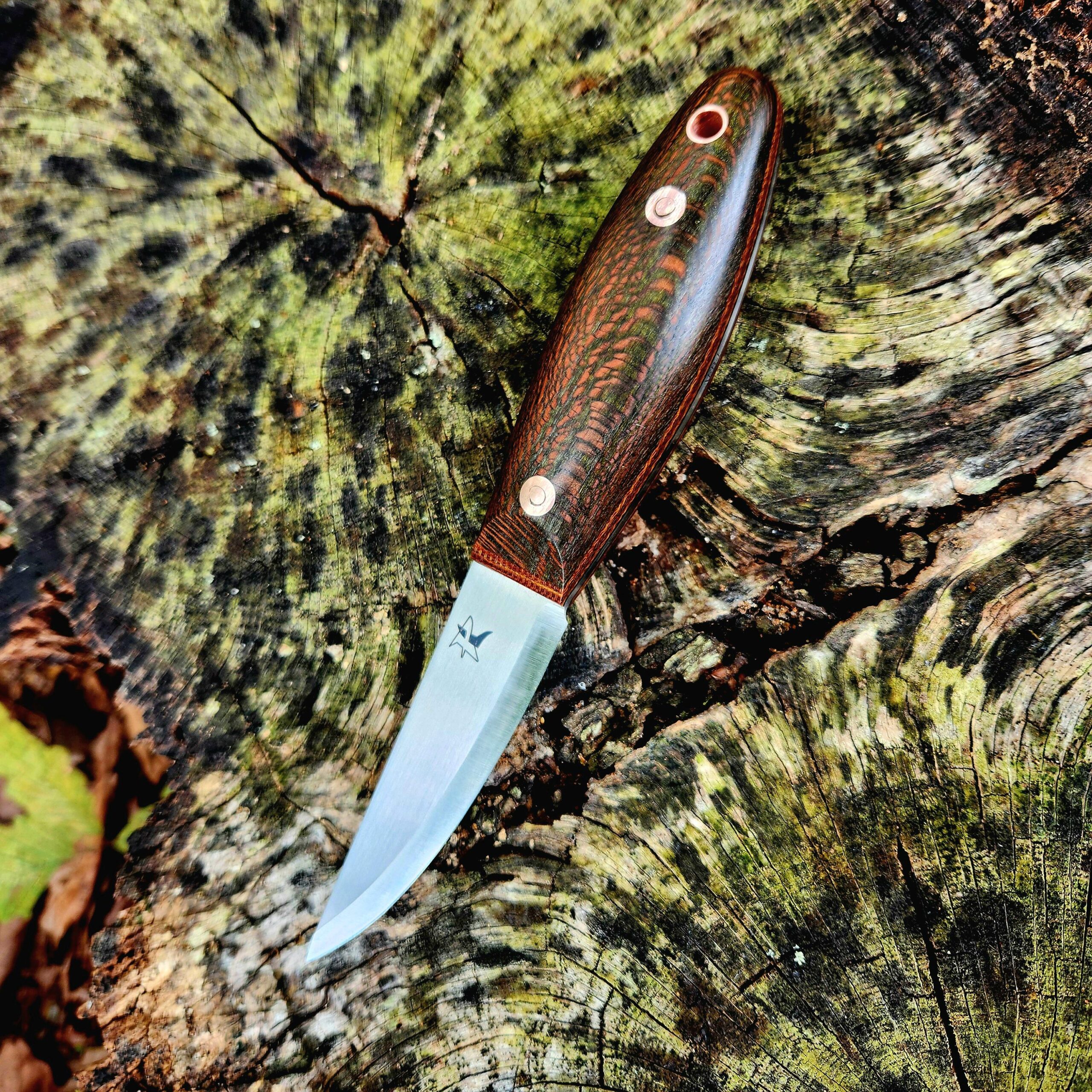 Single Barrel 38 AEB-L