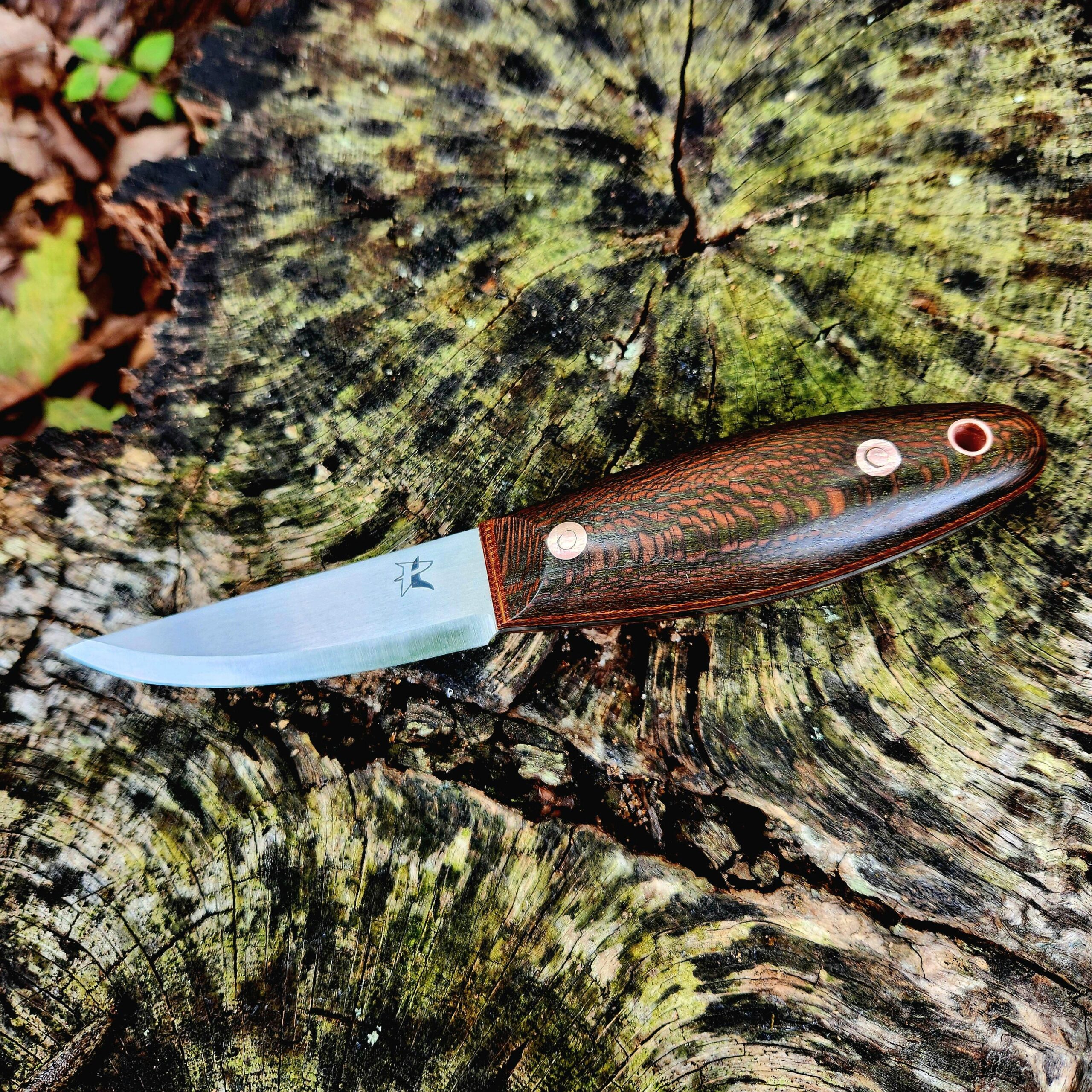 Single Barrel 38 AEB-L - Image 2
