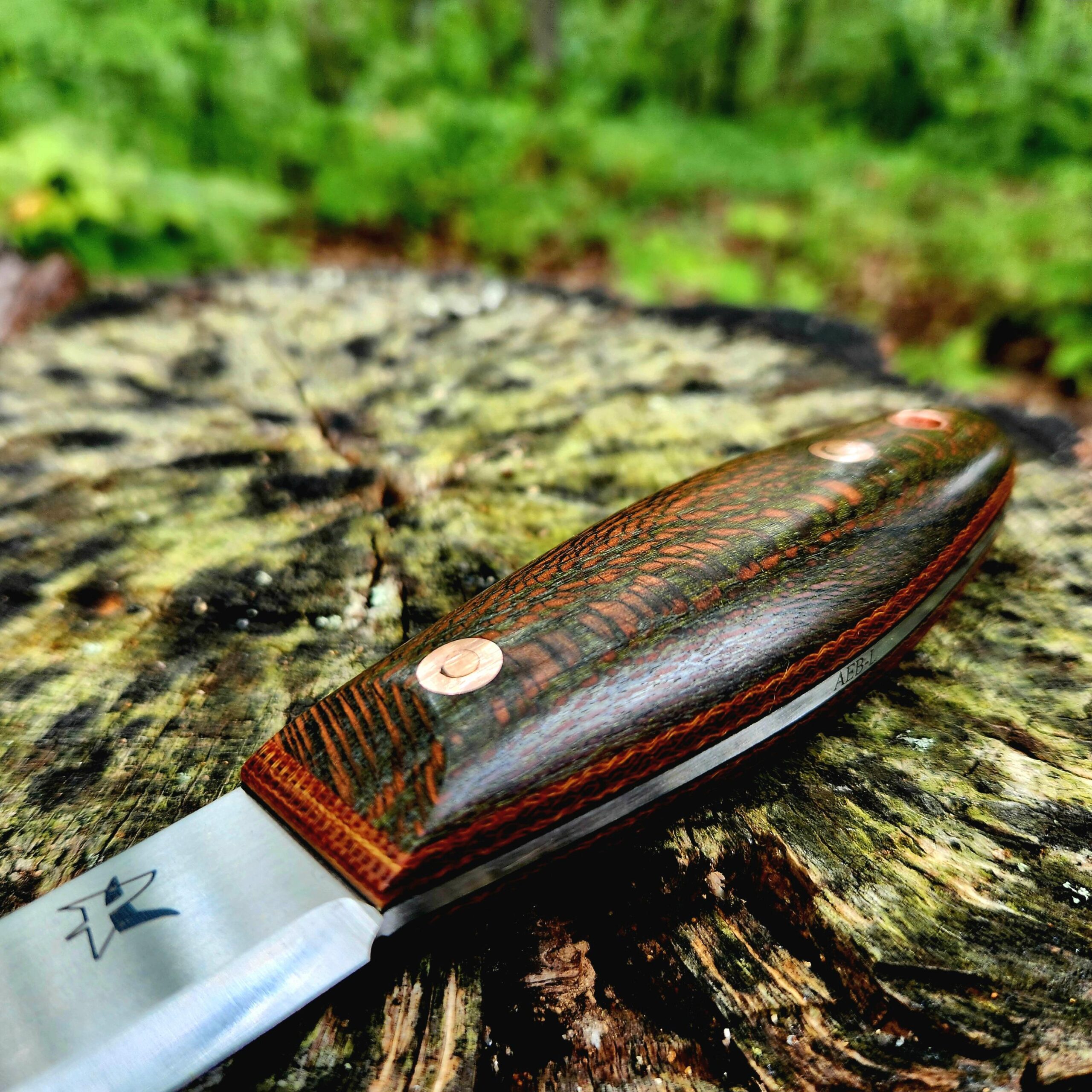 Single Barrel 38 AEB-L - Image 3